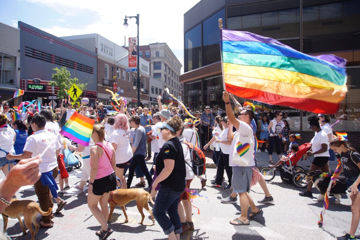 Large group of people on city street carrying pride/rainbow flags and celebrating.
